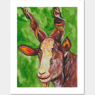 Pet Goat on green background Posters and Art